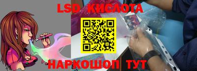 трава Сланцы
