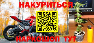 трава Сланцы